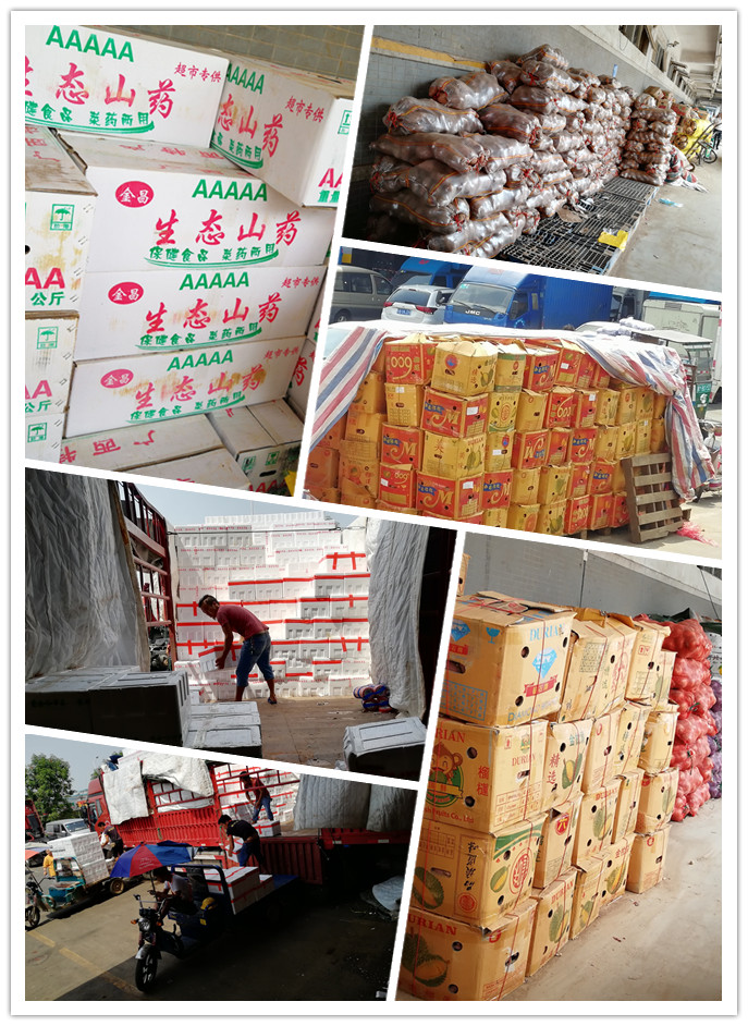 腾博会官网 - 诚信为本,专业服务!