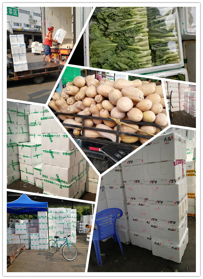 腾博会官网 - 诚信为本,专业服务!