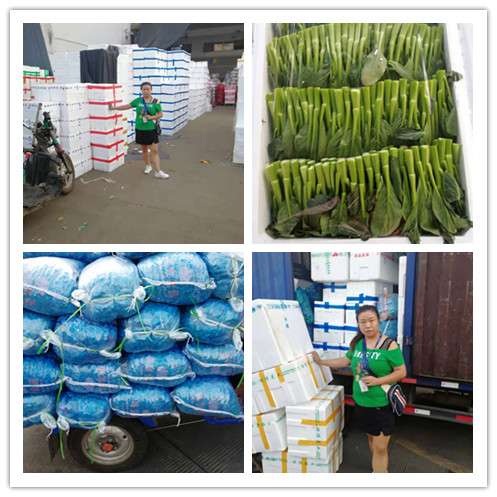 腾博会官网 - 诚信为本,专业服务!