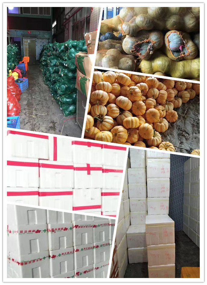 腾博会官网 - 诚信为本,专业服务!