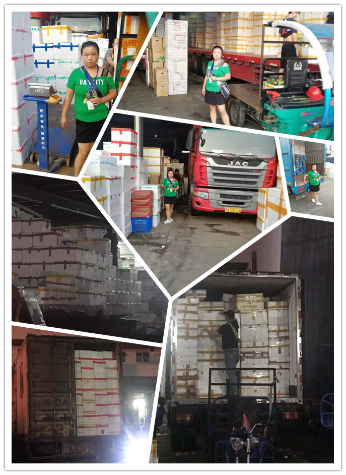 腾博会官网 - 诚信为本,专业服务!