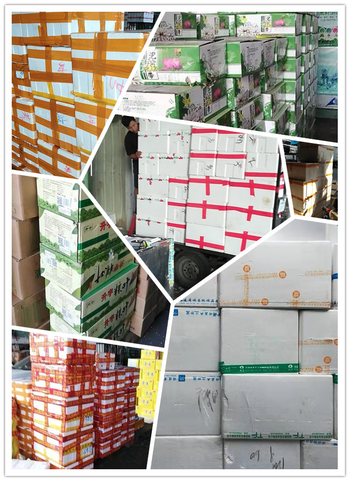 腾博会官网 - 诚信为本,专业服务!