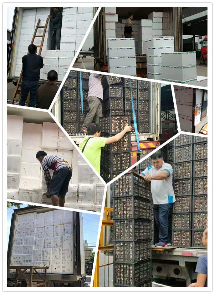 腾博会官网 - 诚信为本,专业服务!