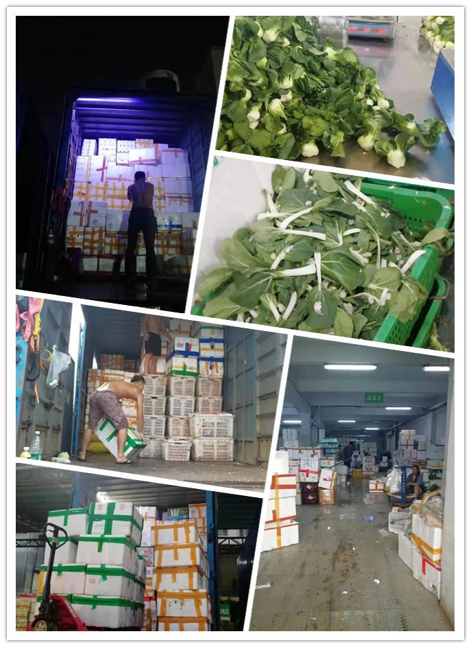 腾博会官网 - 诚信为本,专业服务!