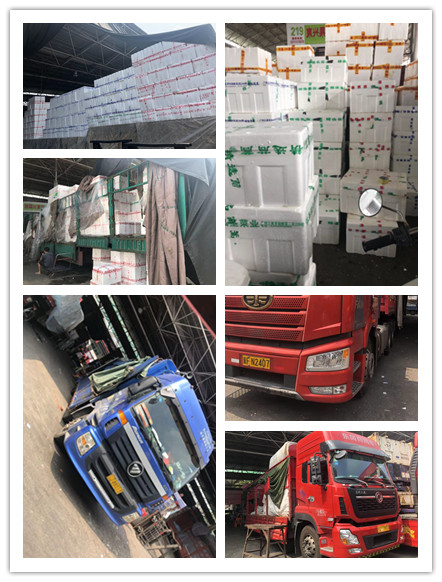 腾博会官网 - 诚信为本,专业服务!