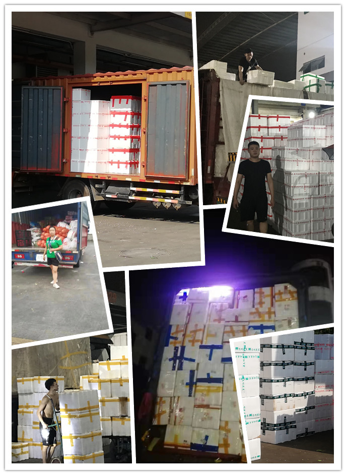 腾博会官网 - 诚信为本,专业服务!