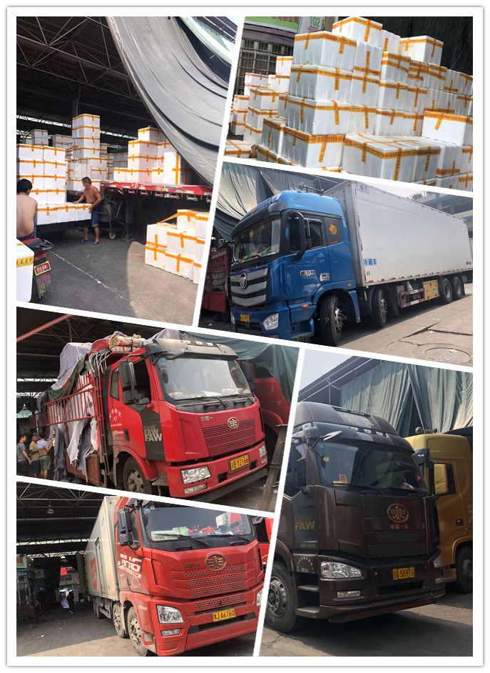 腾博会官网 - 诚信为本,专业服务!