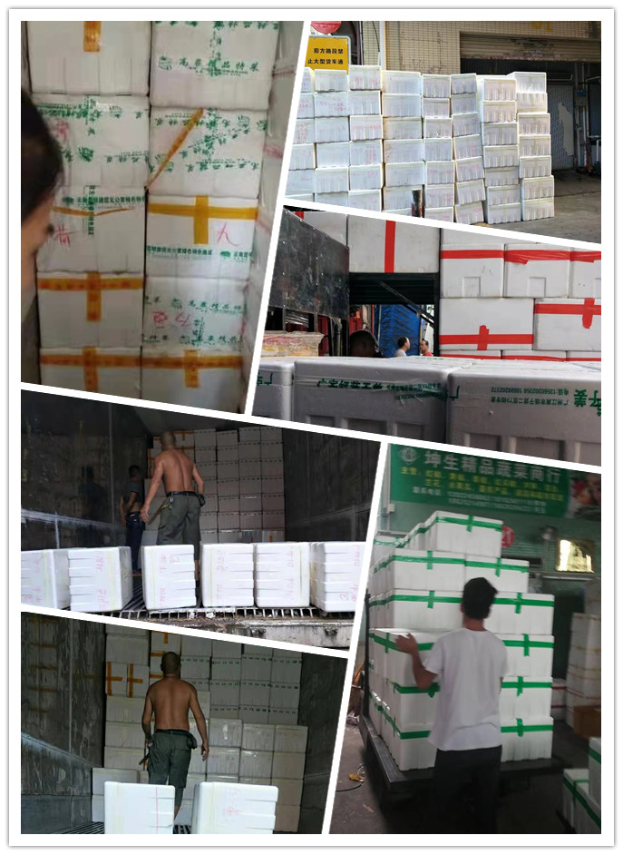 腾博会官网 - 诚信为本,专业服务!