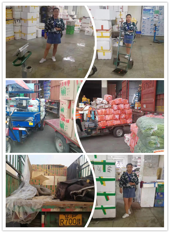 腾博会官网 - 诚信为本,专业服务!