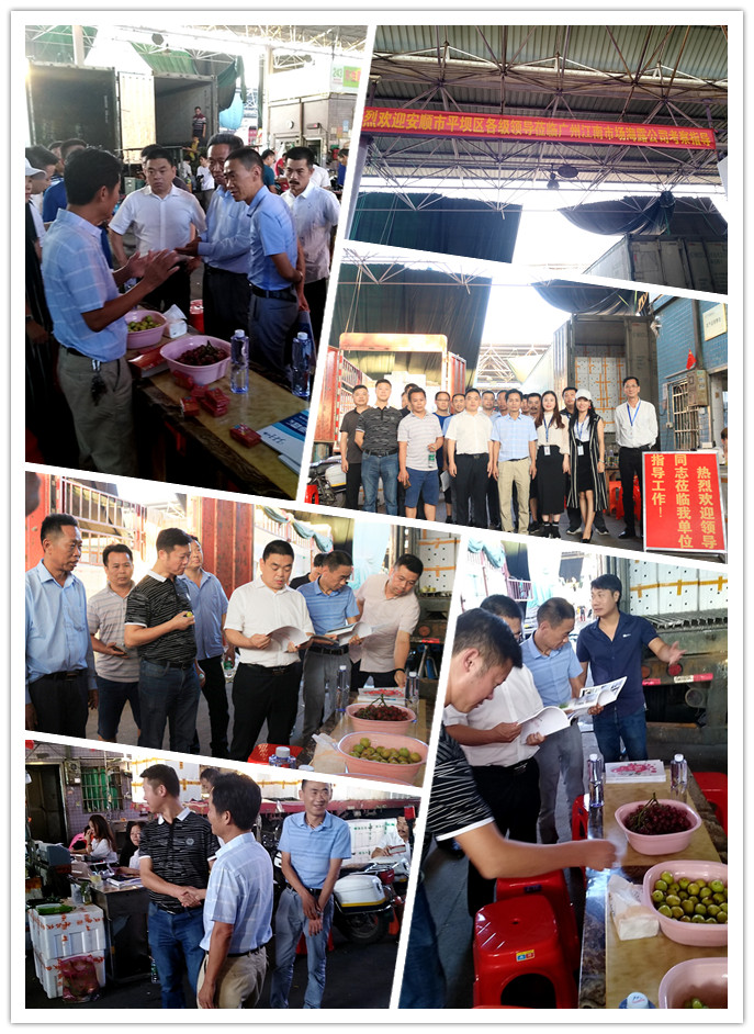 腾博会官网 - 诚信为本,专业服务!