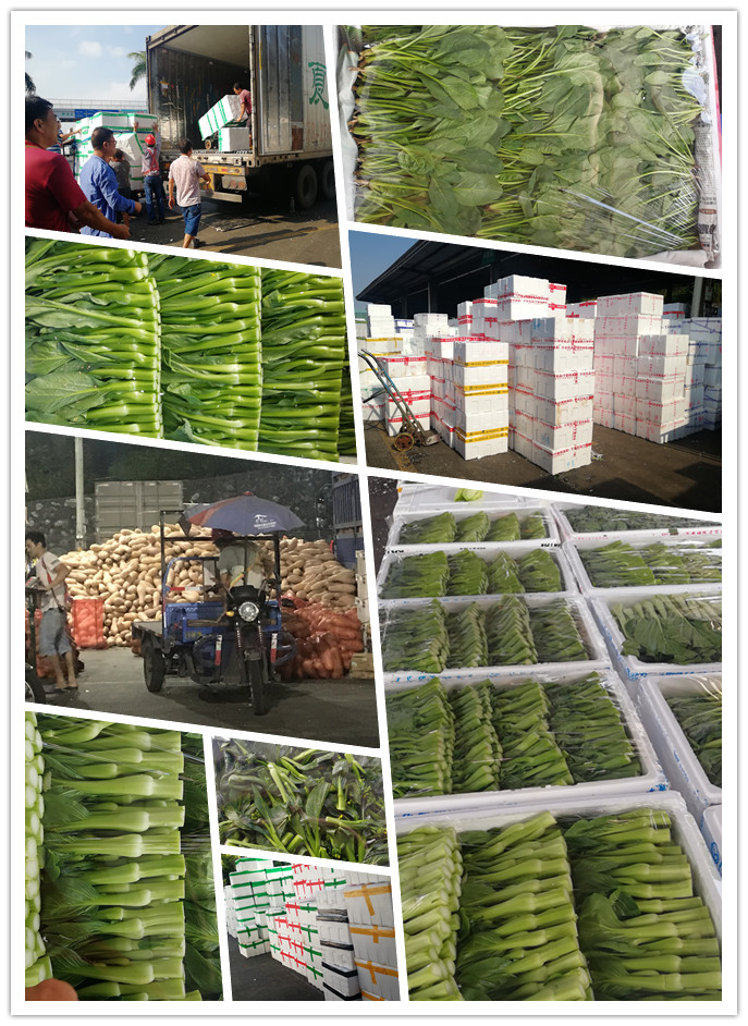 腾博会官网 - 诚信为本,专业服务!