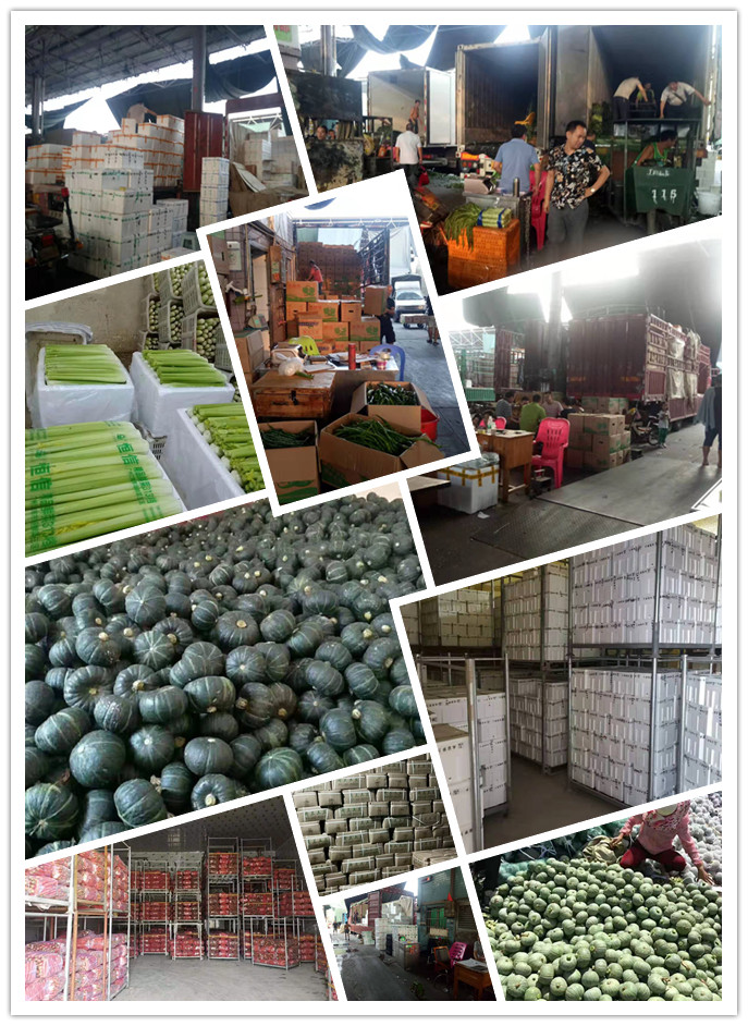 腾博会官网 - 诚信为本,专业服务!