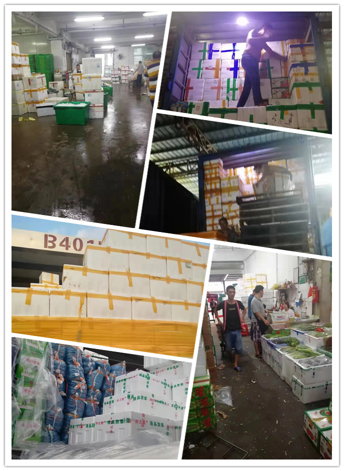 腾博会官网 - 诚信为本,专业服务!