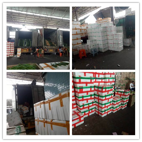 腾博会官网 - 诚信为本,专业服务!