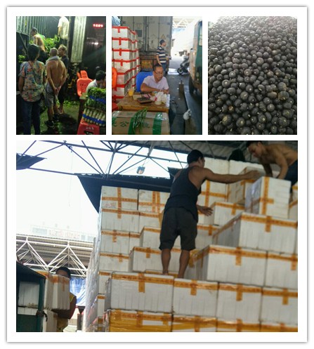 腾博会官网 - 诚信为本,专业服务!