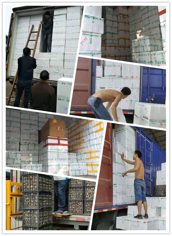 腾博会官网 - 诚信为本,专业服务!