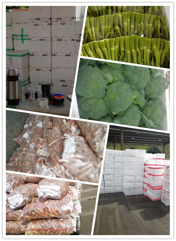 腾博会官网 - 诚信为本,专业服务!