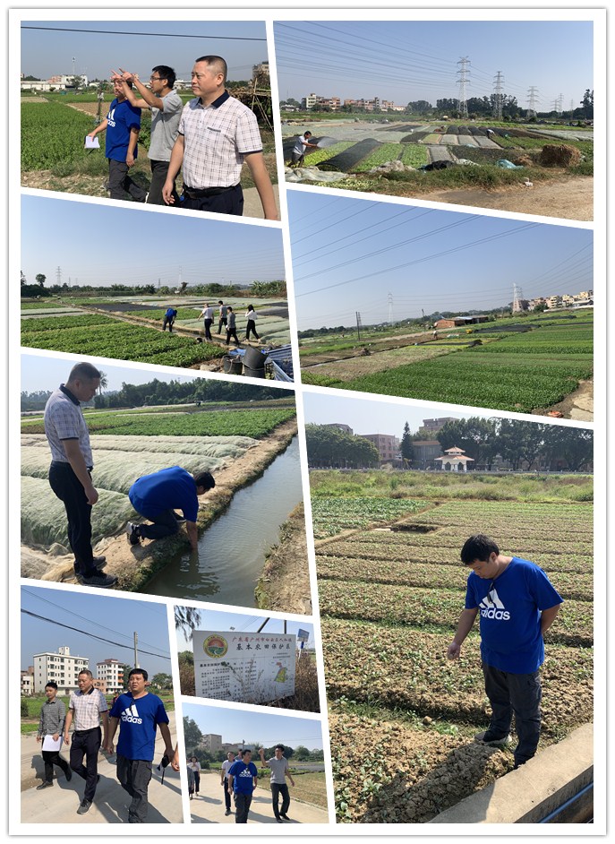 腾博会官网 - 诚信为本,专业服务!