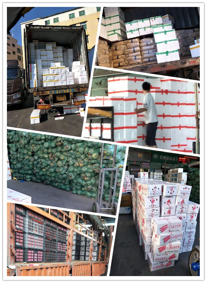 腾博会官网 - 诚信为本,专业服务!