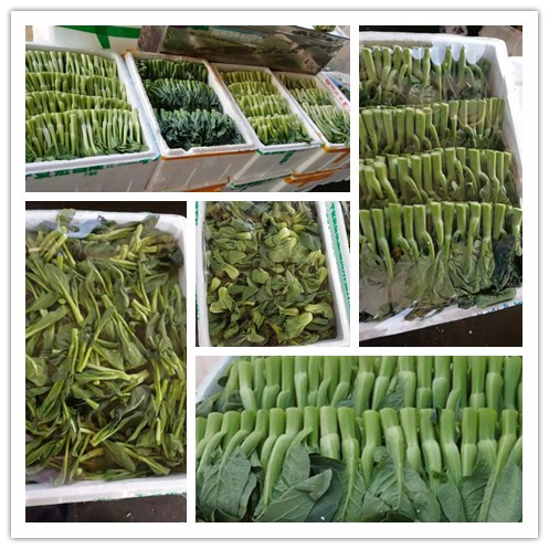 腾博会官网 - 诚信为本,专业服务!