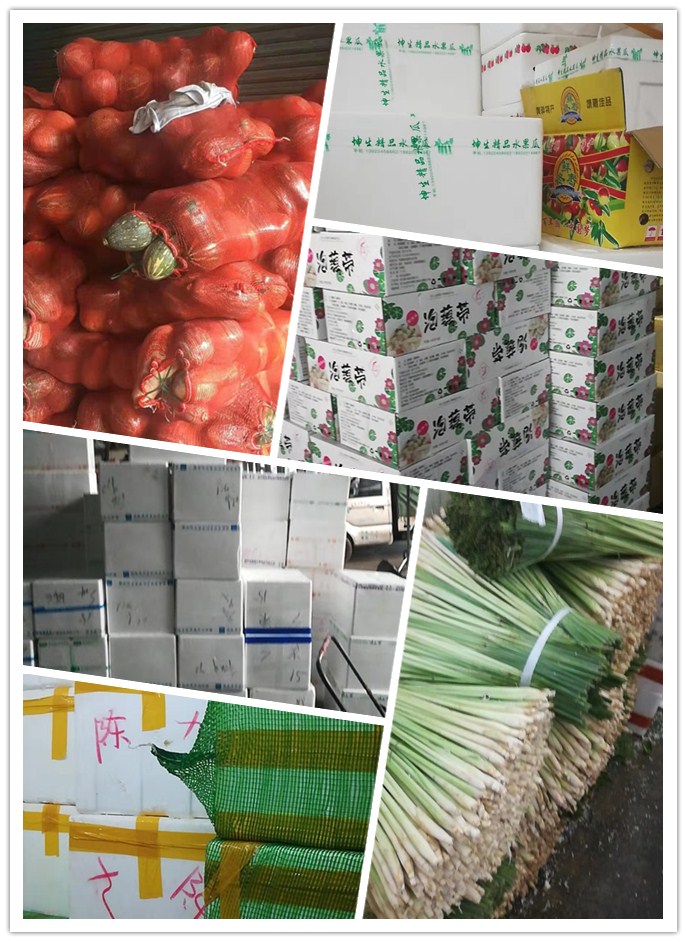 腾博会官网 - 诚信为本,专业服务!