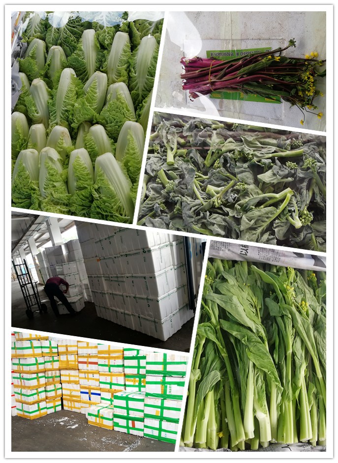 腾博会官网 - 诚信为本,专业服务!