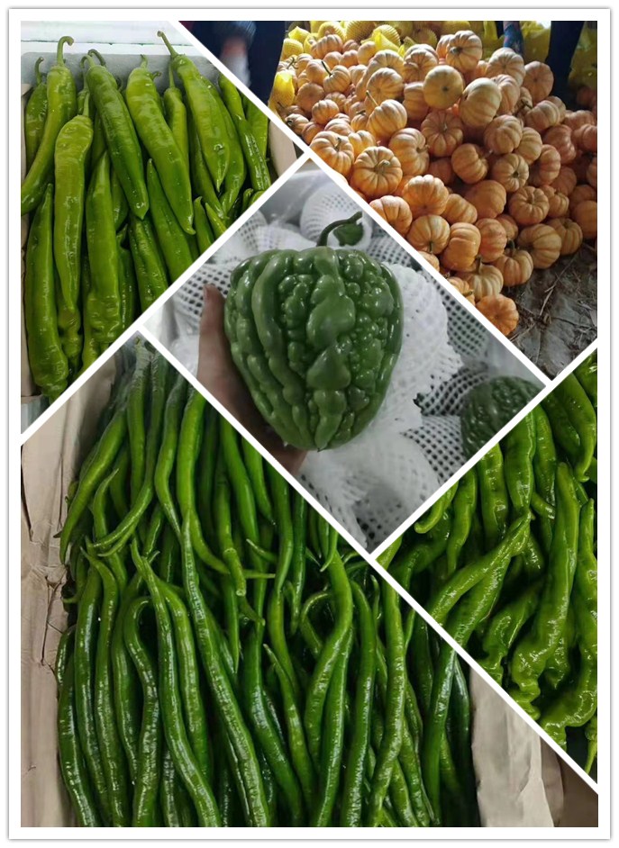 腾博会官网 - 诚信为本,专业服务!