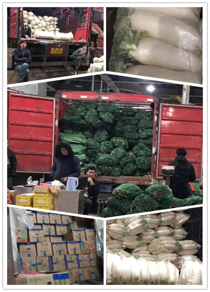 腾博会官网 - 诚信为本,专业服务!