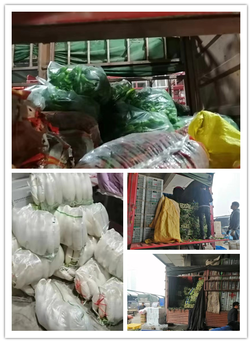 腾博会官网 - 诚信为本,专业服务!