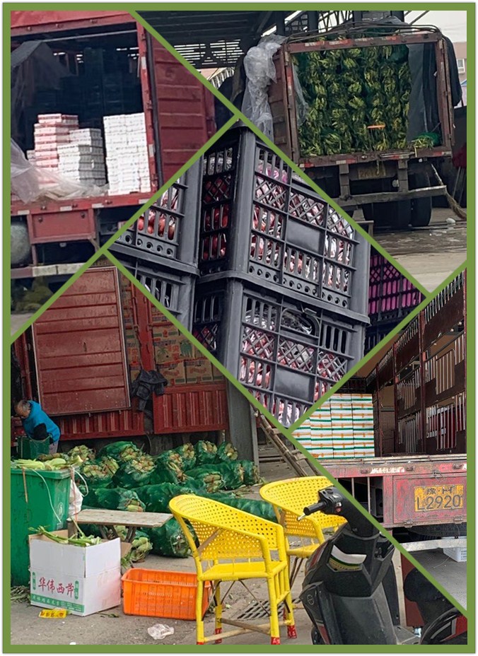 腾博会官网 - 诚信为本,专业服务!