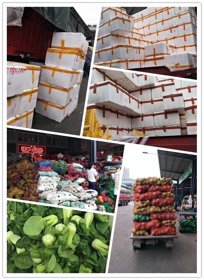 腾博会官网 - 诚信为本,专业服务!