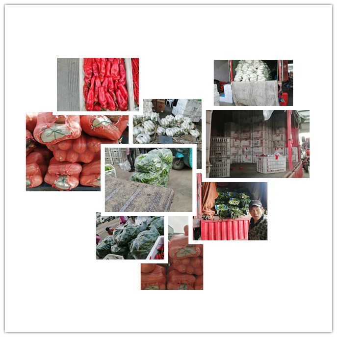 腾博会官网 - 诚信为本,专业服务!