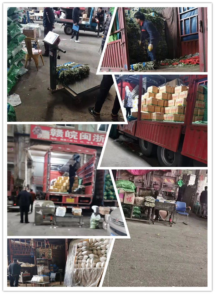 腾博会官网 - 诚信为本,专业服务!