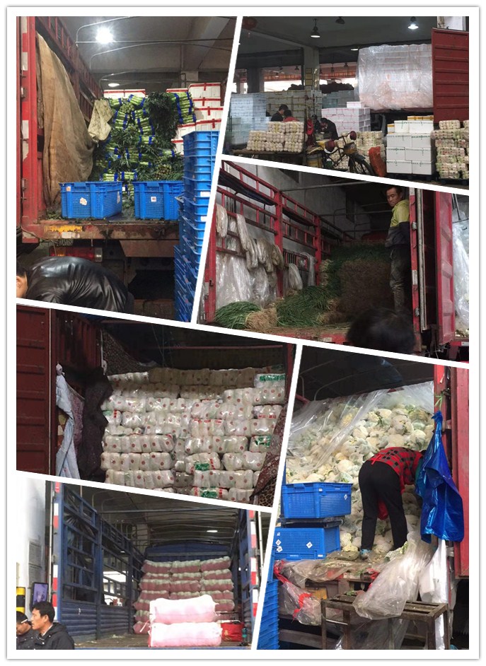 腾博会官网 - 诚信为本,专业服务!