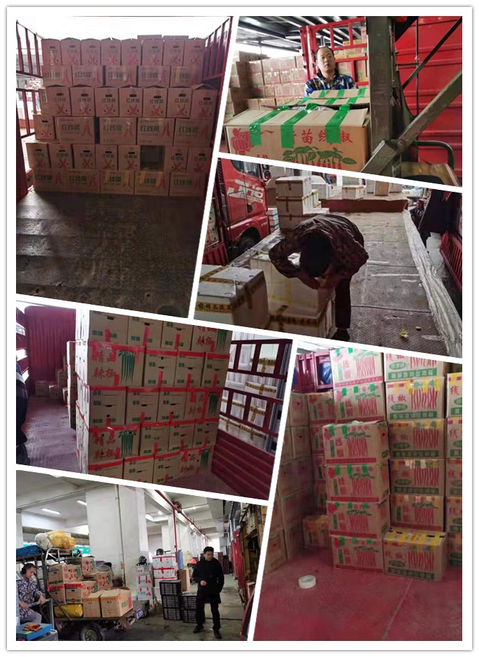 腾博会官网 - 诚信为本,专业服务!