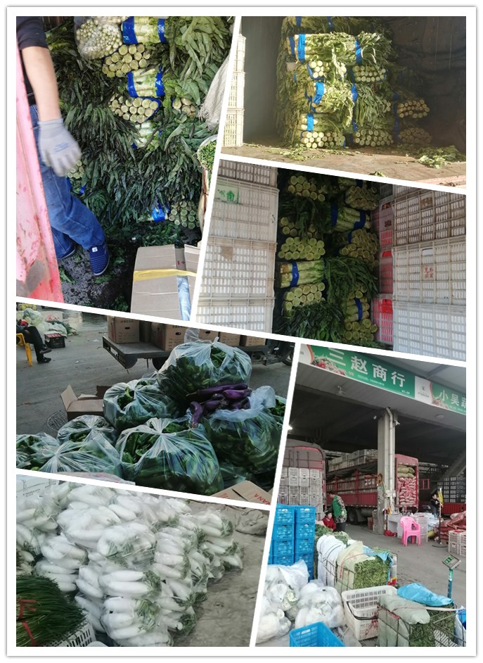 腾博会官网 - 诚信为本,专业服务!