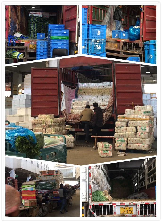 腾博会官网 - 诚信为本,专业服务!