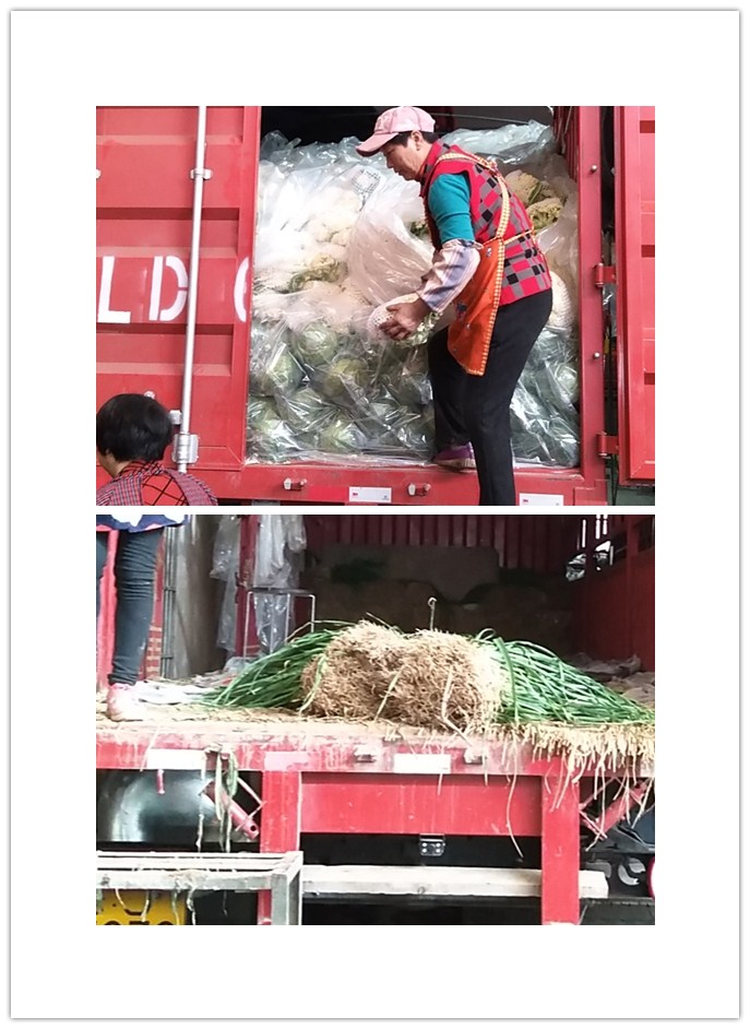 腾博会官网 - 诚信为本,专业服务!