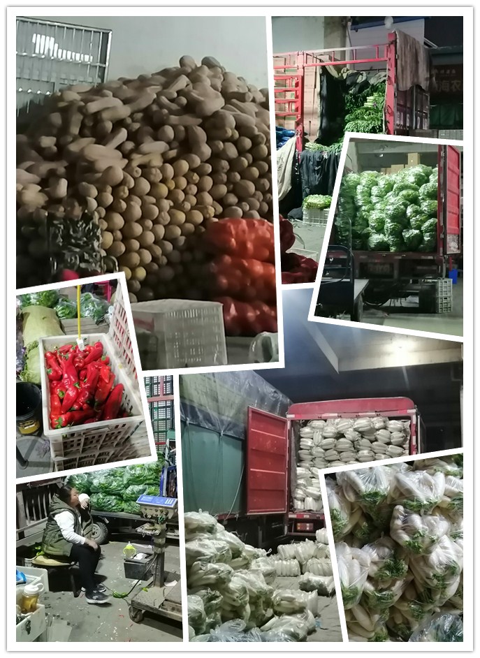 腾博会官网 - 诚信为本,专业服务!