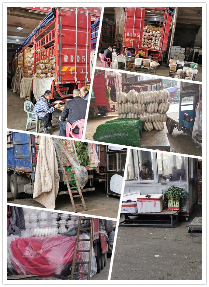 腾博会官网 - 诚信为本,专业服务!