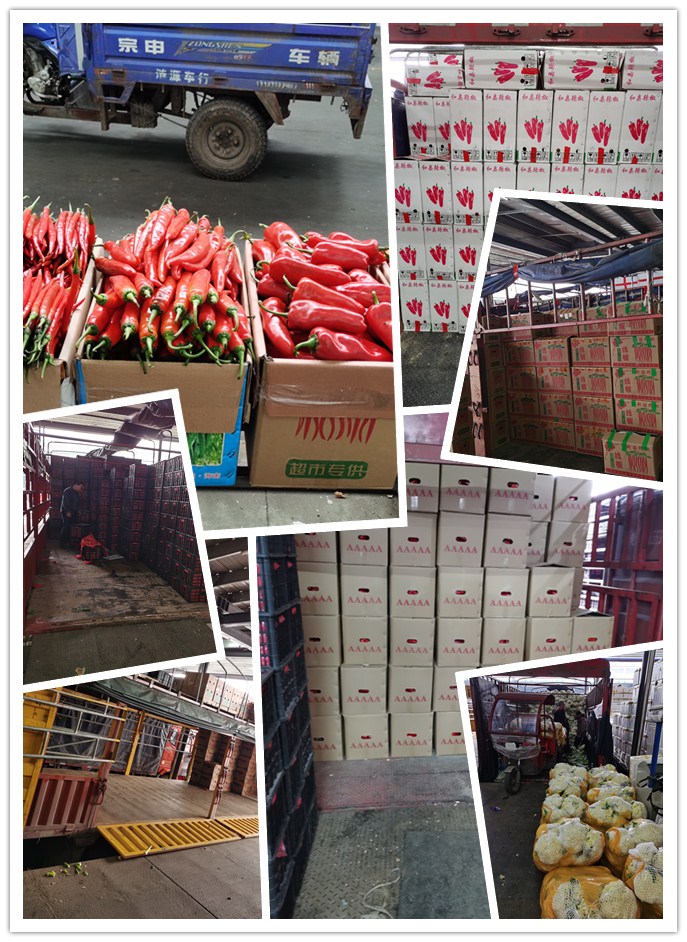 腾博会官网 - 诚信为本,专业服务!