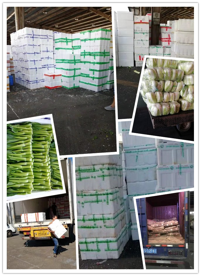 腾博会官网 - 诚信为本,专业服务!