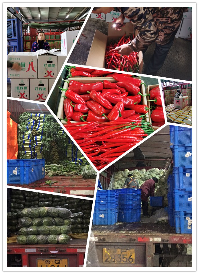 腾博会官网 - 诚信为本,专业服务!