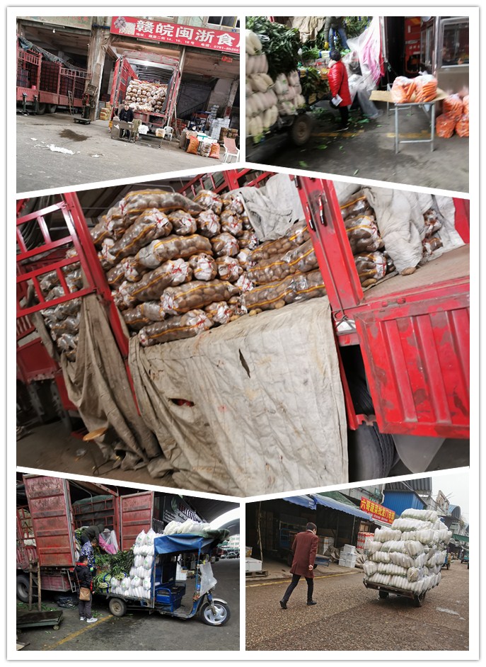 腾博会官网 - 诚信为本,专业服务!