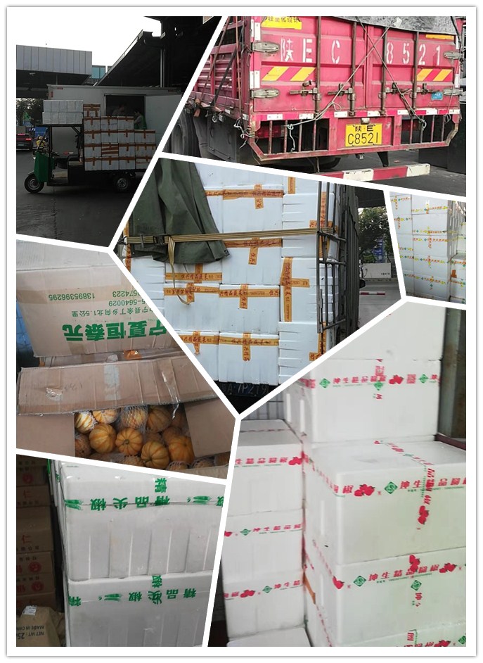 腾博会官网 - 诚信为本,专业服务!