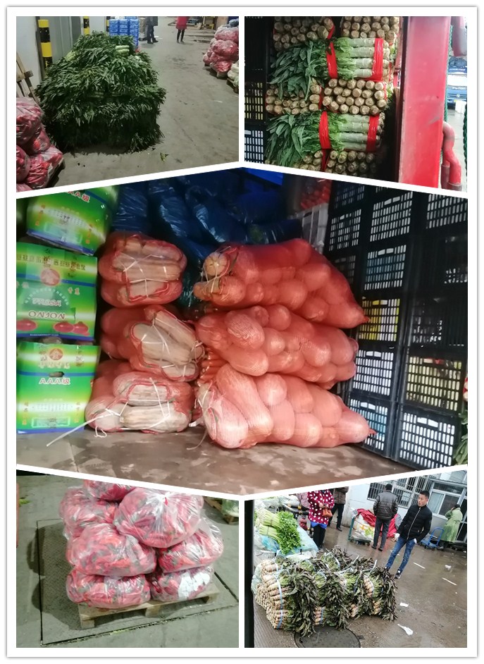 腾博会官网 - 诚信为本,专业服务!