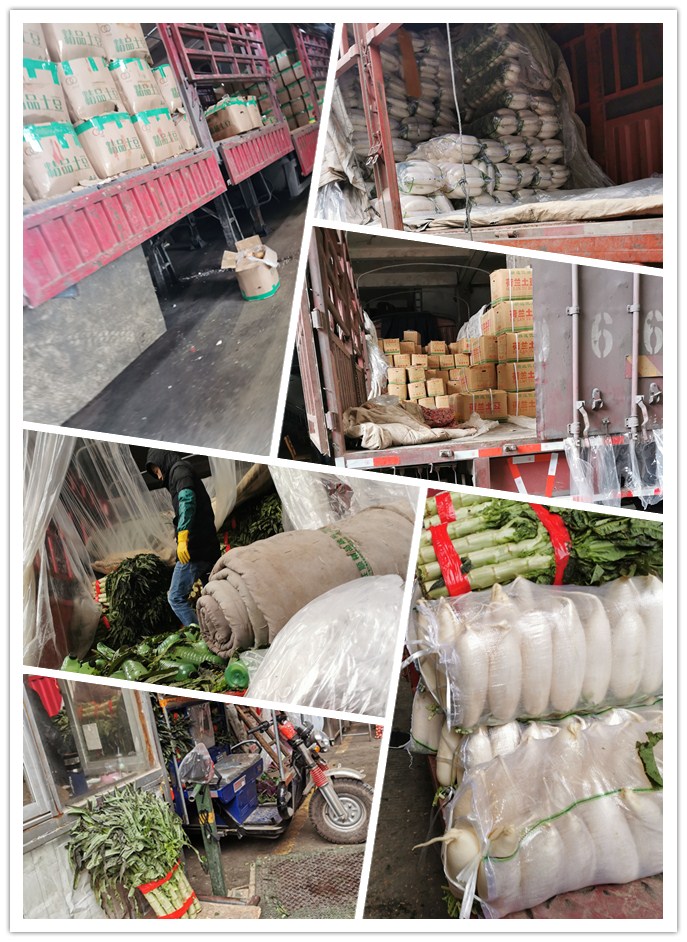 腾博会官网 - 诚信为本,专业服务!