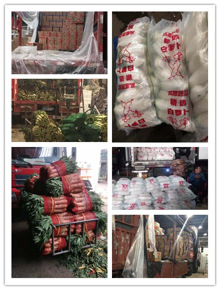 腾博会官网 - 诚信为本,专业服务!