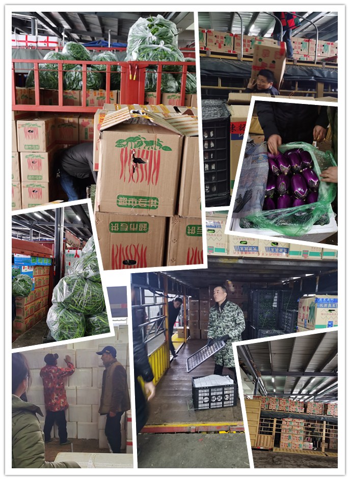 腾博会官网 - 诚信为本,专业服务!