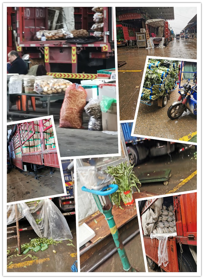 腾博会官网 - 诚信为本,专业服务!